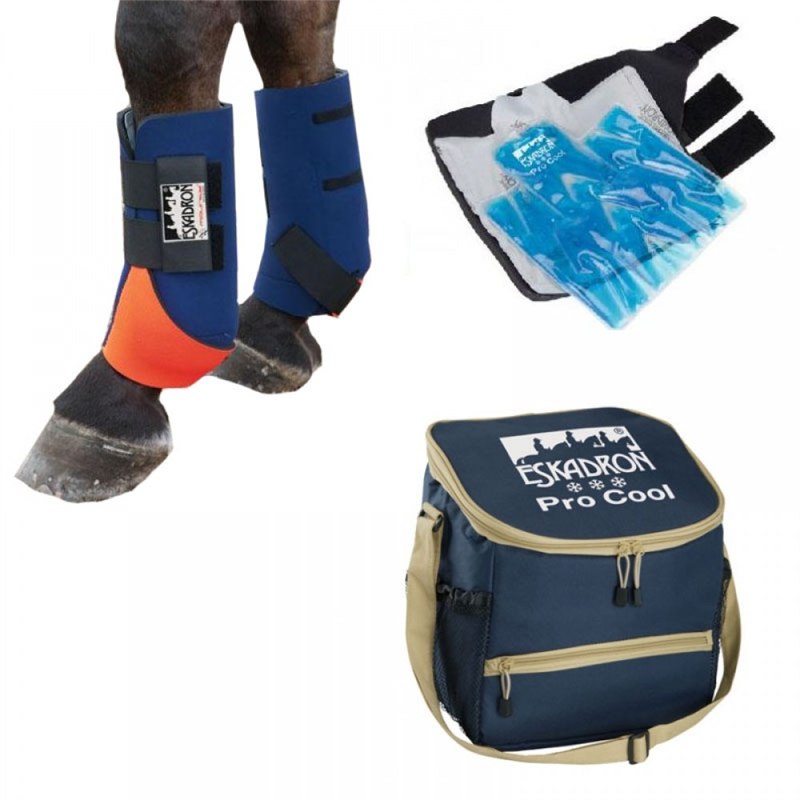 ToCi Borsa Termica 15 Litri Con 4 Mattonelle Refrigeranti – Isolata E Impermeabile, Per Picnic, Campeggio, Spiaggia E Grigliate. Pieghevole E Leggera, Colore Grigio Mélange Con Dettagli Blu.