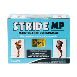 STRIDE MP BUSTINE TRM